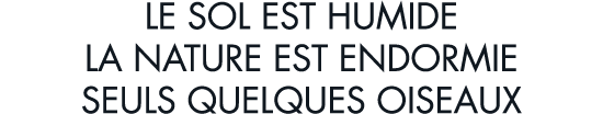 le sol est humide la nature est endormie seuls quelques oiseaux