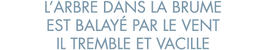 l arbre dans la brume est balay  par le vent il tremble et vacille