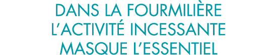 dans la fourmili re l activit  incessante masque l essentiel 