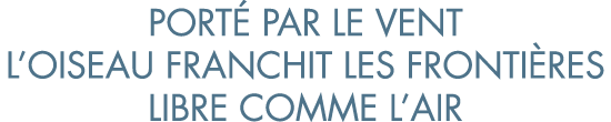 port  par le vent l oiseau franchit les fronti res libre comme l air