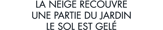 la neige recouvre une partie du jardin le sol est gel 
