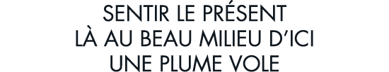 sentir le pr sent l  au beau milieu d ici une plume vole