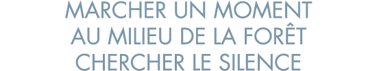 marcher un moment au milieu de la for t chercher le silence