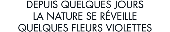 depuis quelques jours la nature se r veille quelques fleurs violettes