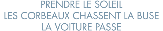 prendre le soleil les corbeaux chassent la buse la voiture passe