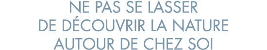 ne pas se lasser de d couvrir la nature autour de chez soi