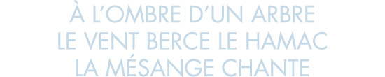   l ombre d un arbre le vent berce le hamac la m sange chante