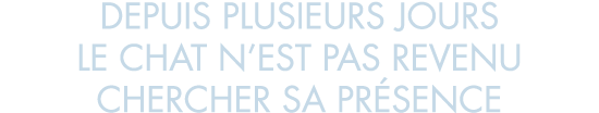 depuis plusieurs jours le chat n est pas revenu chercher sa pr sence