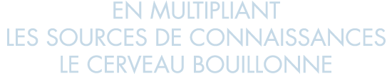en multipliant les sources de connaissances le cerveau bouillonne