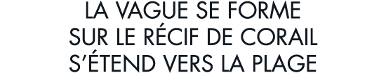 la vague se forme sur le r cif de corail s  tend vers la plage