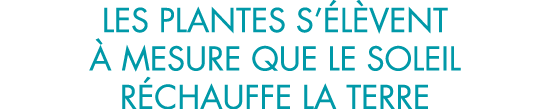 les plantes s  l vent   mesure que le soleil r chauffe la terre