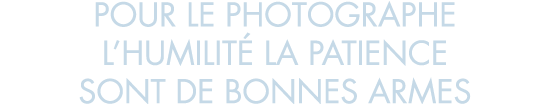 pour le photographe l humilit  la patience sont de bonnes armes
