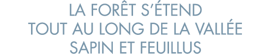 la for t s  tend tout au long de la vall e sapin et feuillus