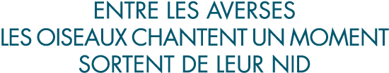 entre les averses les oiseaux chantent un moment sortent de leur nid