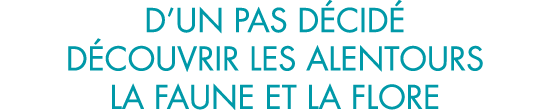 d un pas d cid  d couvrir les alentours la faune et la flore