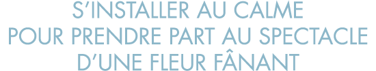 s installer au calme pour prendre part au spectacle d une fleur f nant