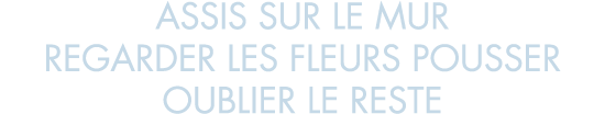 assis sur le mur regarder les fleurs pousser oublier le reste
