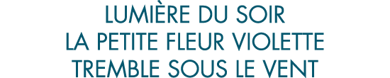 lumi re du soir la petite fleur violette tremble sous le vent
