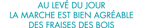 au lev  du jour la marche est bien agr able des fraises des bois