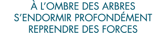   l ombre des arbres s endormir profond ment reprendre des forces