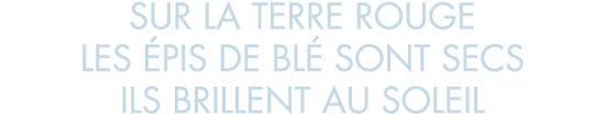 sur la terre rouge les  pis de bl  sont secs ils brillent au soleil