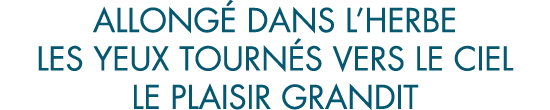 allong  dans l herbe les yeux tourn s vers le ciel le plaisir grandit