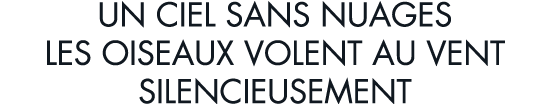 un ciel sans nuages les oiseaux volent au vent silencieusement