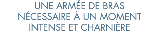 une arm e de bras n cessaire   un moment intense et charni re