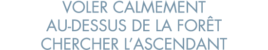 voler calmement au-dessus de la for t chercher l ascendant