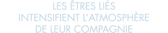 les  tres li s intensifient l atmosph re de leur compagnie