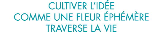 cultiver l id e comme une fleur  ph m re traverse la vie