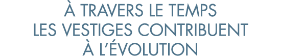  travers le temps les vestiges contribuent   l  volution
