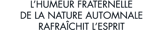l humeur fraternelle de la nature automnale rafra chit l esprit