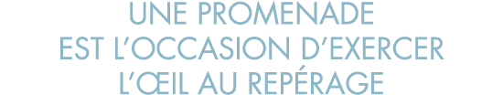 une promenade est l occasion d exercer l  il au rep rage
