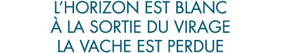 l horizon est blanc   la sortie du virage la vache est perdue
