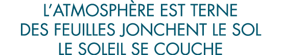 l atmosph re est terne des feuilles jonchent le sol le soleil se couche