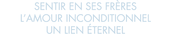 sentir en ses fr res l amour inconditionnel un lien  ternel