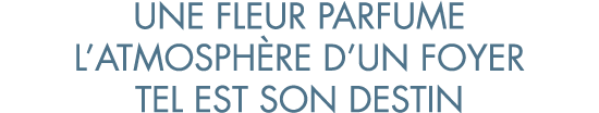 une fleur parfume l atmosph re d un foyer tel est son destin