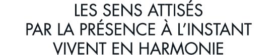 les sens attis s par la pr sence   l instant vivent en harmonie