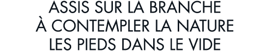 assis sur la branche   contempler la nature les pieds dans le vide