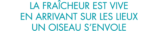 la fra cheur est vive en arrivant sur les lieux un oiseau s envole