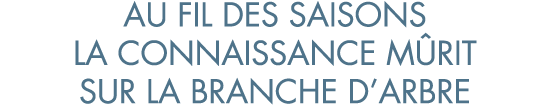 au fil des saisons la connaissance m rit sur la branche d arbre