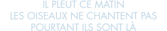il pleut ce matin les oiseaux ne chantent pas pourtant ils sont l 