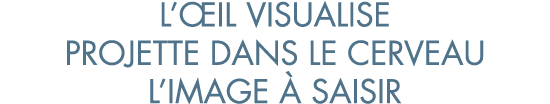 l  il visualise projette dans le cerveau l image   saisir