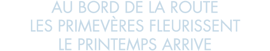 au bord de la route les primev res fleurissent le printemps arrive