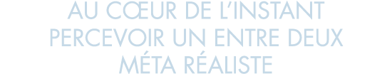 au c ur de l instant percevoir un entre deux m ta r aliste