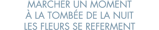 marcher un moment   la tomb e de la nuit les fleurs se referment
