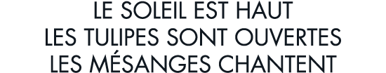 le soleil est haut les tulipes sont ouvertes les m sanges chantent
