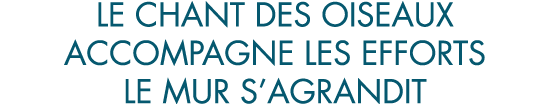 le chant des oiseaux accompagne les efforts le mur s agrandit