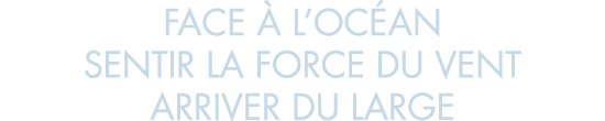 face   l oc an sentir la force du vent arriver du large